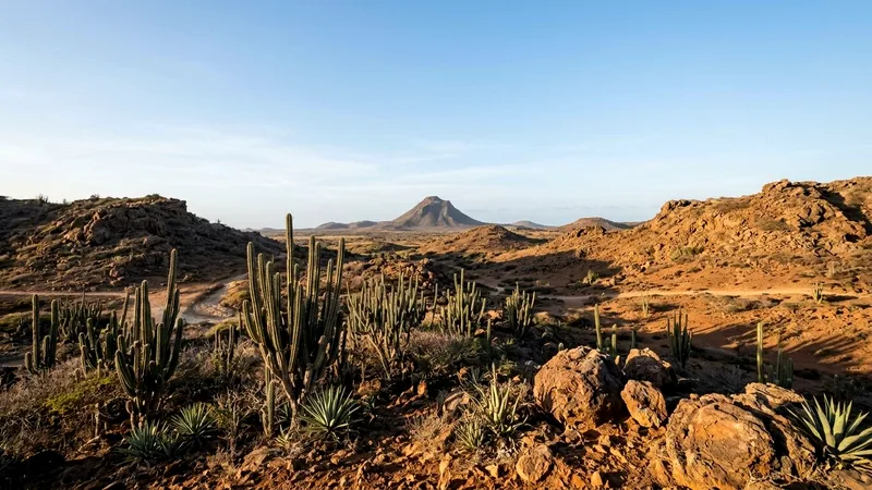 Aruba Trips Guide