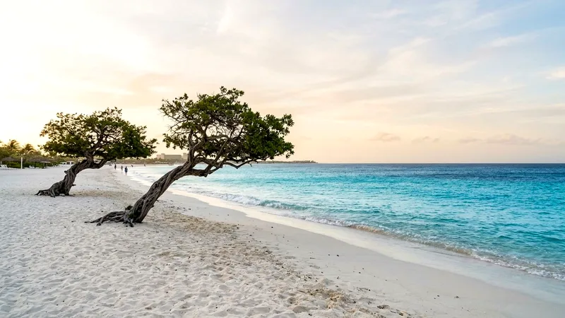 Aruba Trips Guide